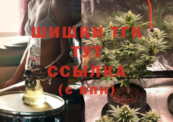 стаф Алексин