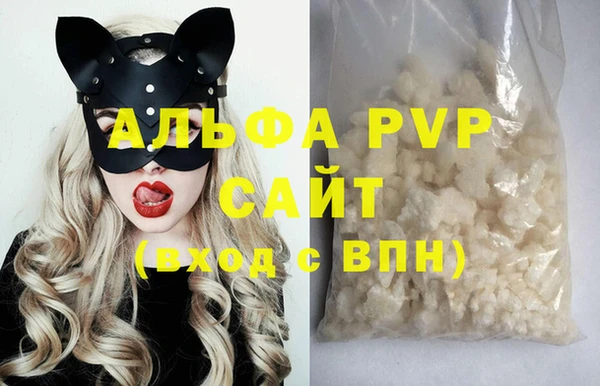 стаф Алексин