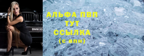 стаф Алексин