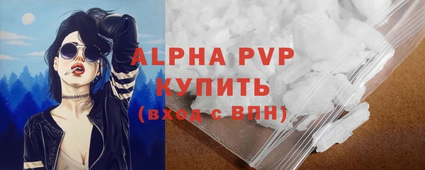 стаф Алексин